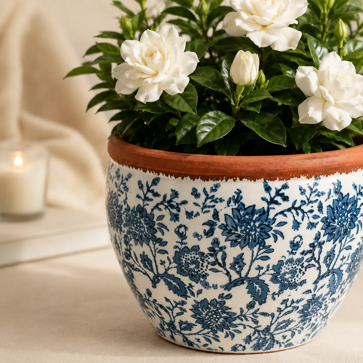 Blue floral ceramic planter styled with white gardenias in a cozy home setting.
